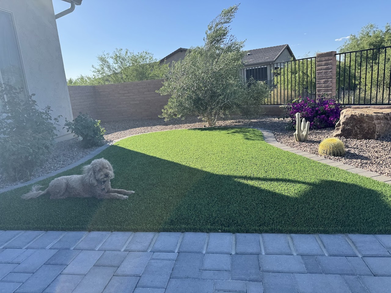 Future Earth Landscape LLC project